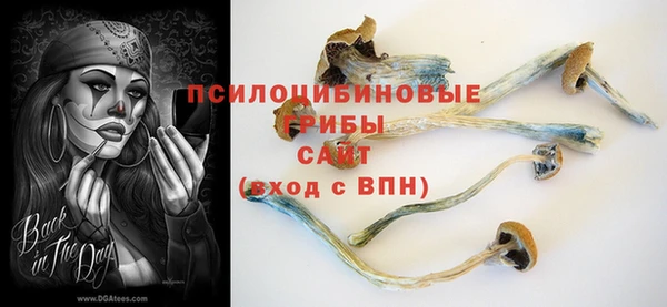 прущий лед Инта