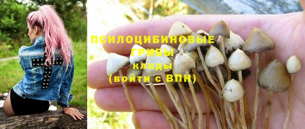 прущий лед Инта