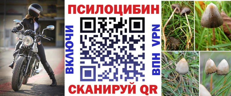 Купить закладки  Киренск  Псилоцибиновые грибы Magic Shrooms 