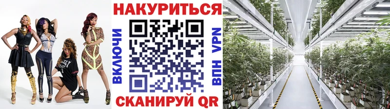 Купить  Киренск  Бошки марихуана гибрид 